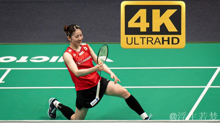 苏迪曼杯小组赛：日本对阵马来西亚 2